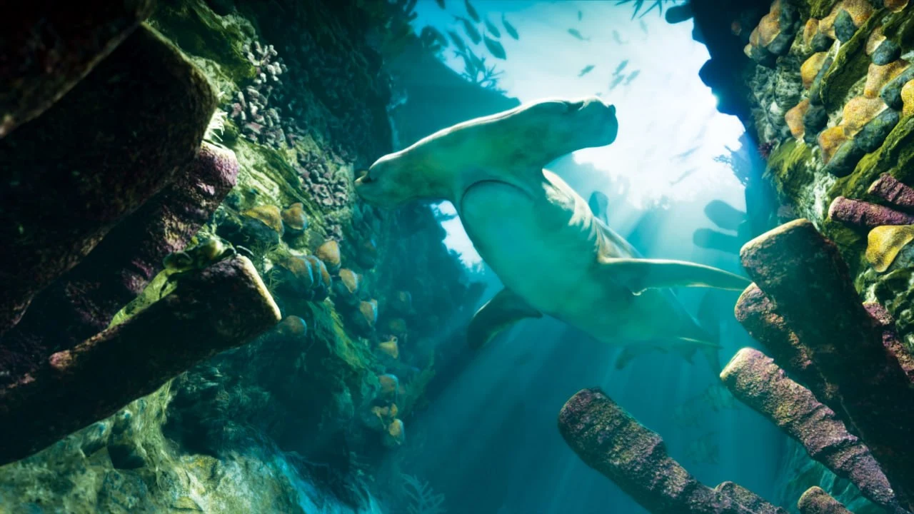 GTA 6 screenshot from Edge — a hammerhead shark swimming through a reef with sunlight coming down through the water