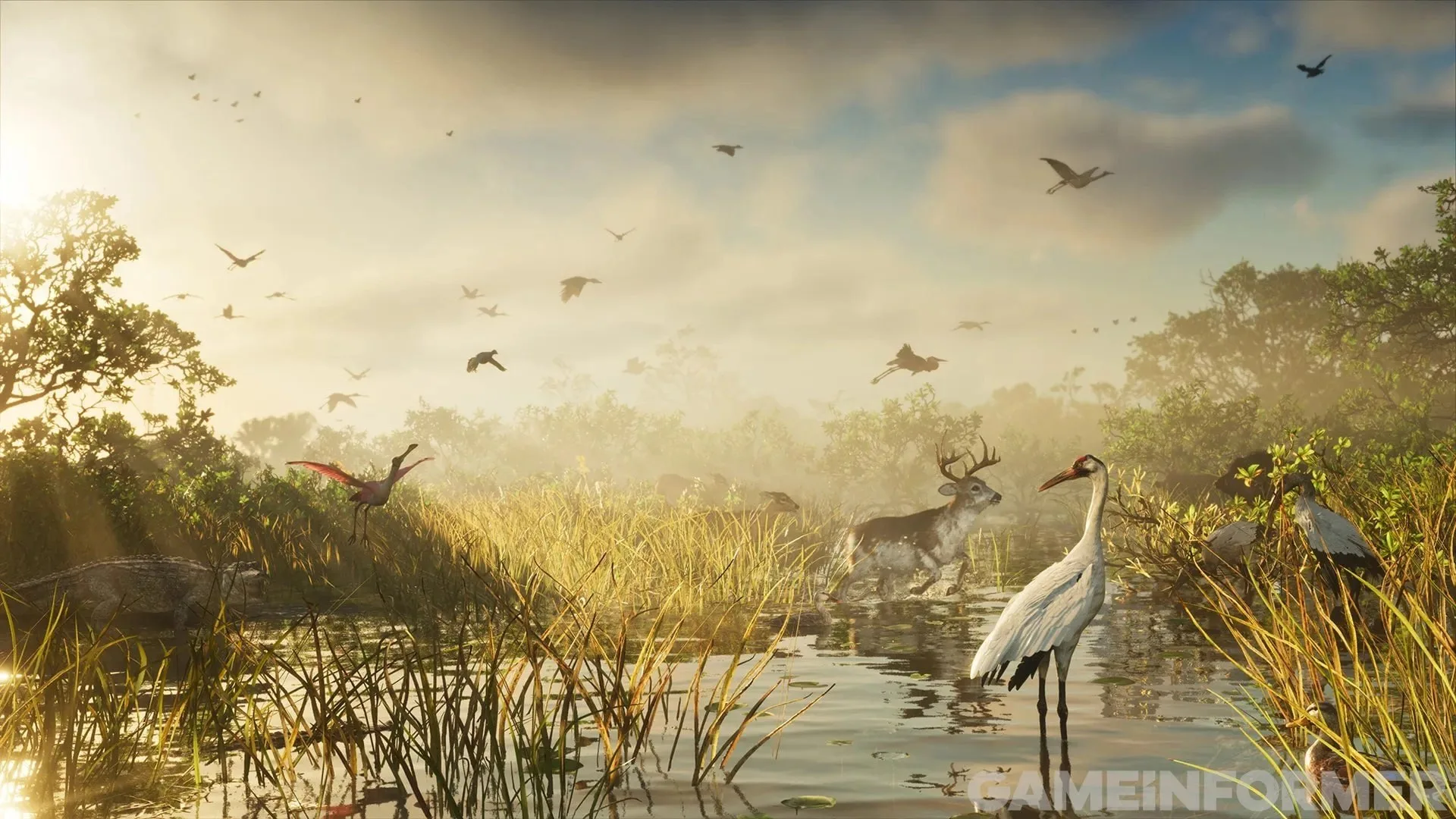GTA 6 screenshot from Game Informer — a wetland with a white crane, a buck, flamingos, birds in flight and an alligator at the water's edge